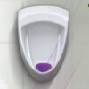 Ароматизирана подложка за писоари с дълготрайно действие - Касис - Пакет 2 бр. - Image 2